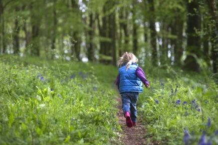 Child Custody Lawyers in Fresno