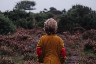 Child Custody Lawyer 